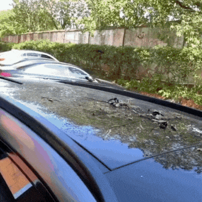 Aspirateur G80: Votre Arme Secrète pour un Nettoyage Puissant